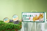 Ready To Eat Ginseng Snow Fungus Herbal Wellness Dessert No Artificial Additives Herbal Ingredients Natural Sweetness - Image 4